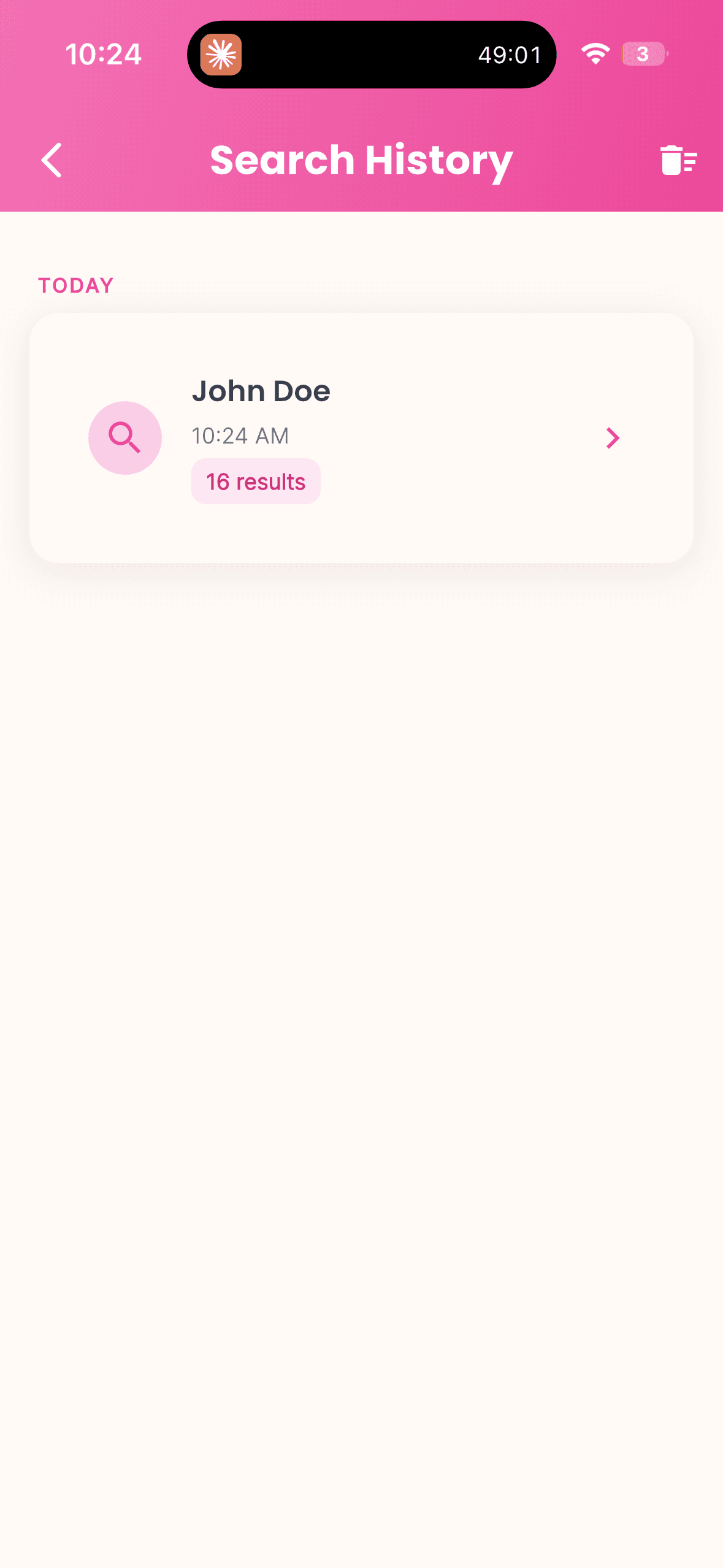 Pink Flag search history screen